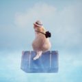 意識のエネルギーは世界を変える？！エネルギーの傾向と4つのYの繋がり