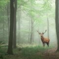 見えるもの。見えないもの。私が大切にしたいもの。